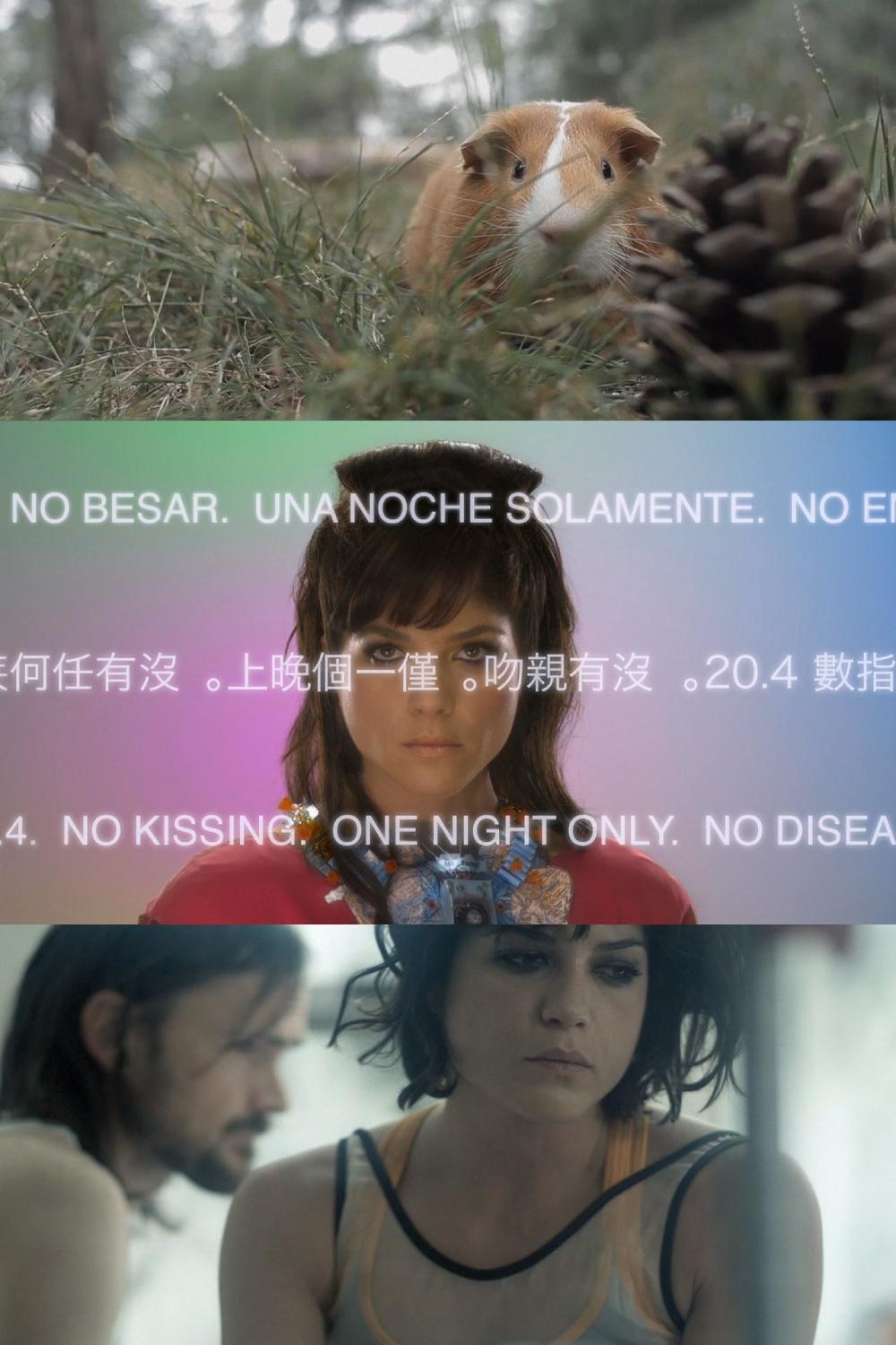 Постер Animal Love